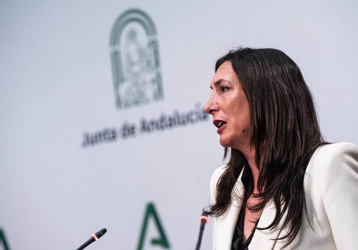 La Junta pide al Gobierno que reconozca que 605 inmigrantes que tiene acogidos no son menores