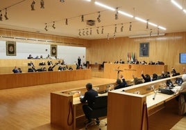 Imagen de archivo del pleno de la Diputación.