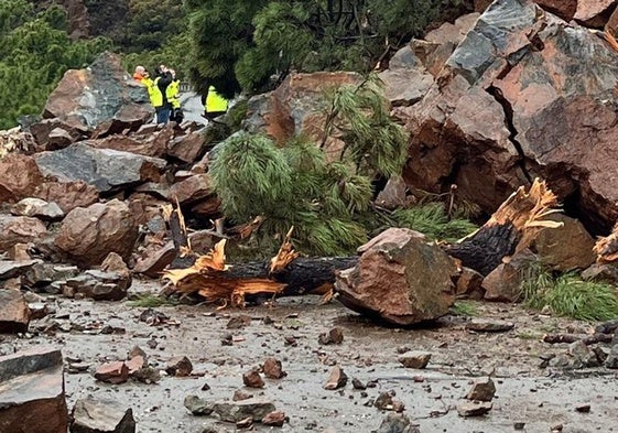 Imagen de los daños provocados por el desprendimiento de un talud sobre la carretera.