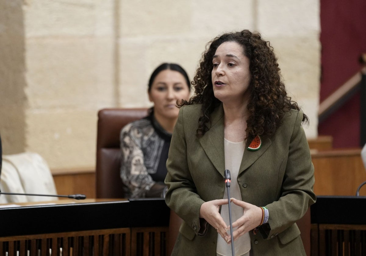 Inmaculada Nieto, durante su intervención.