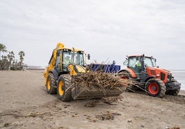 Operarios de limpieza municipales en plena limpieza de playas.