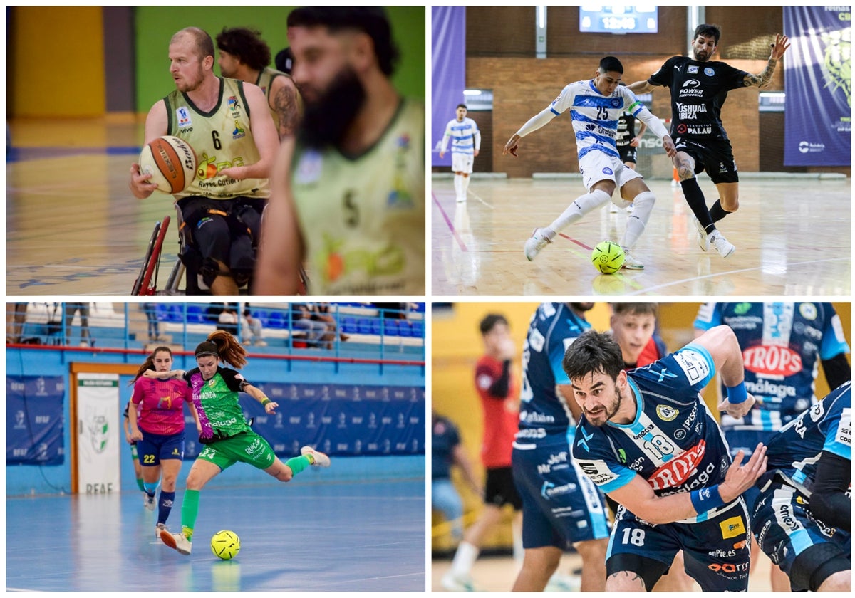 Polideportivo malagueño: Los equipos de la provincia, a hacerse fuertes en casa