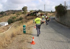 Trabajadores de Renta Básica realizando tareas de desbroce.