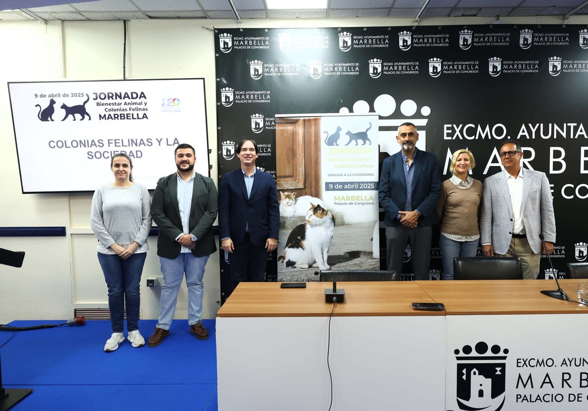 Especialistas analizan en Marbella la correcta gestión de las colonias felinas