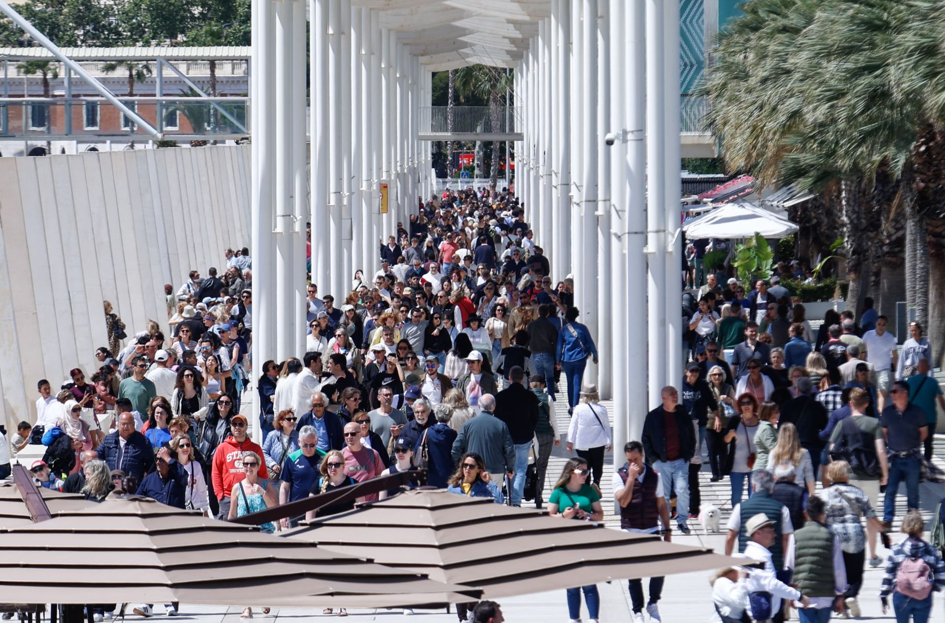 Málaga exprime la Semana Santa con un sábado al completo
