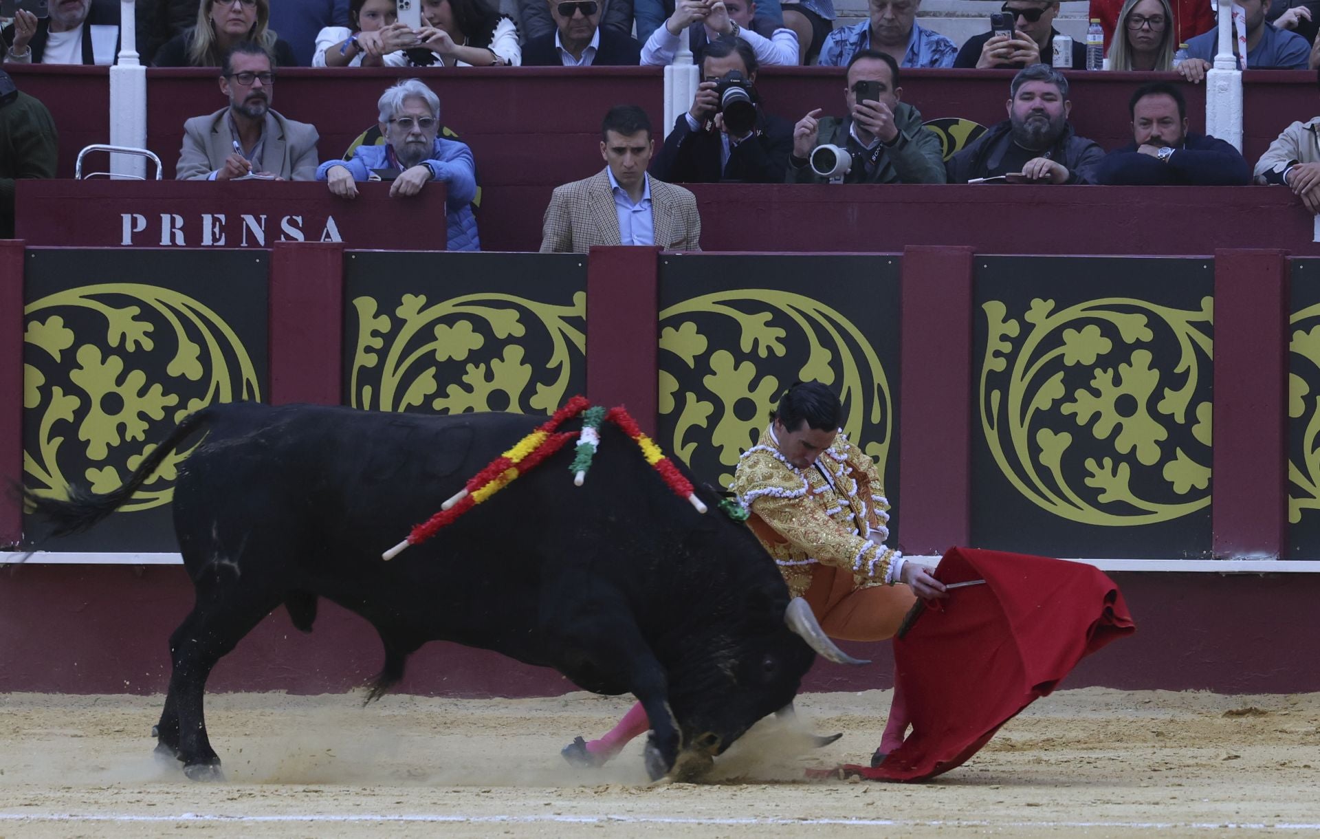 Las mejores fotos de la Corrida Picassiana 2025 en Málaga