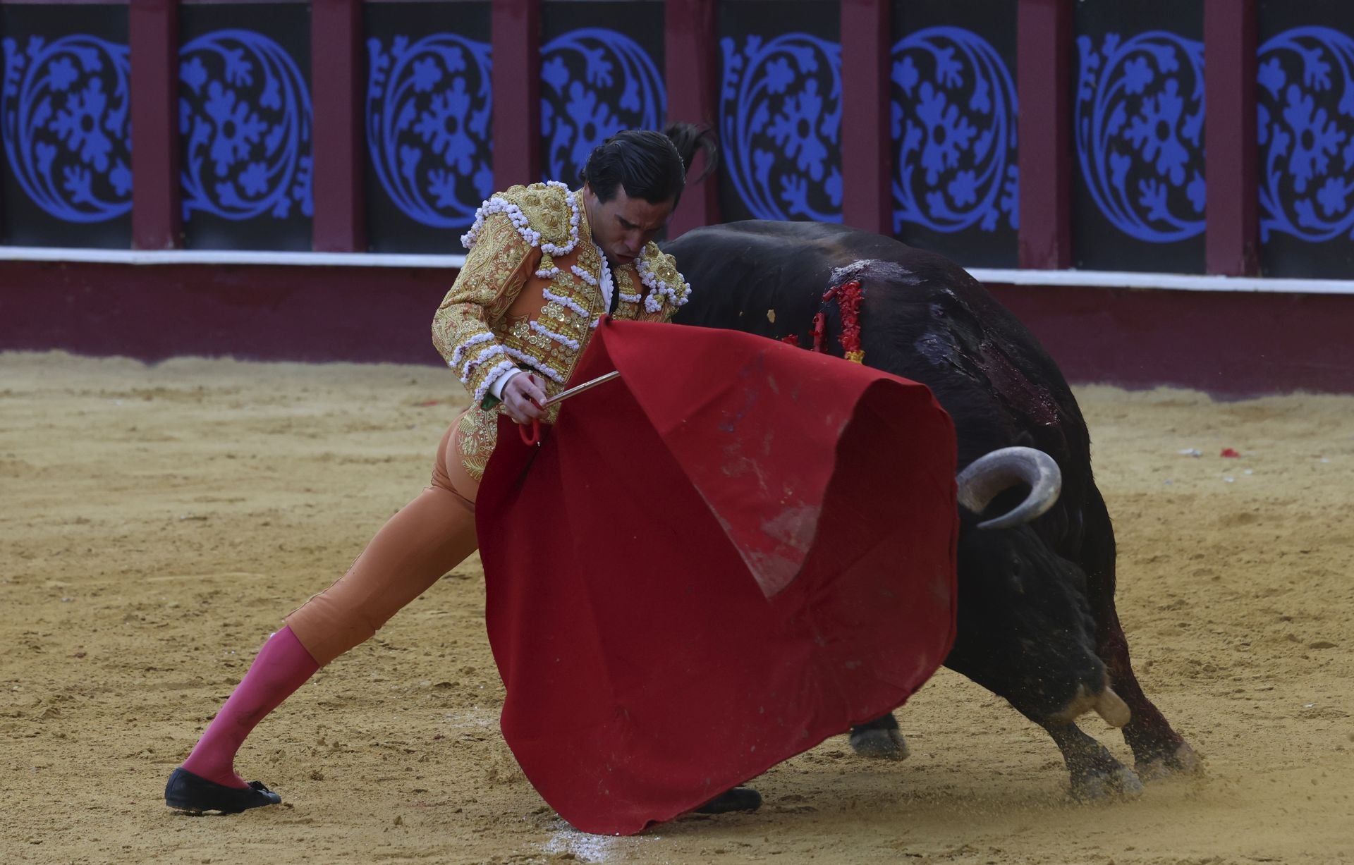 Las mejores fotos de la Corrida Picassiana 2025 en Málaga