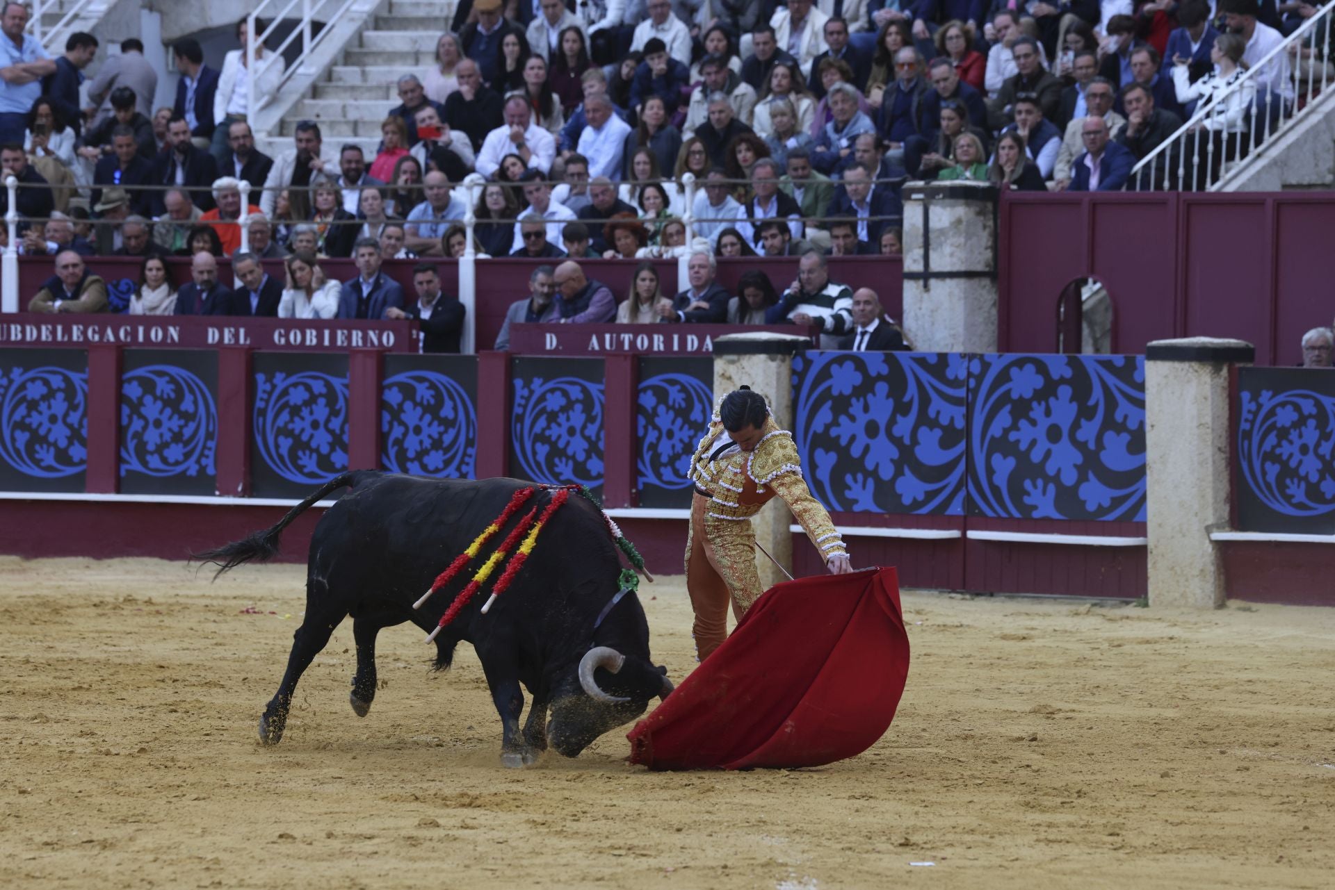 Las mejores fotos de la Corrida Picassiana 2025 en Málaga