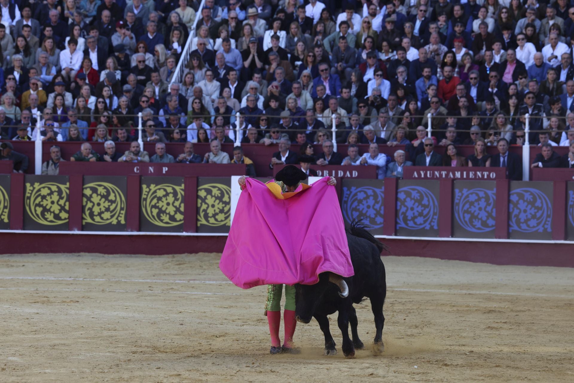 Las mejores fotos de la Corrida Picassiana 2025 en Málaga