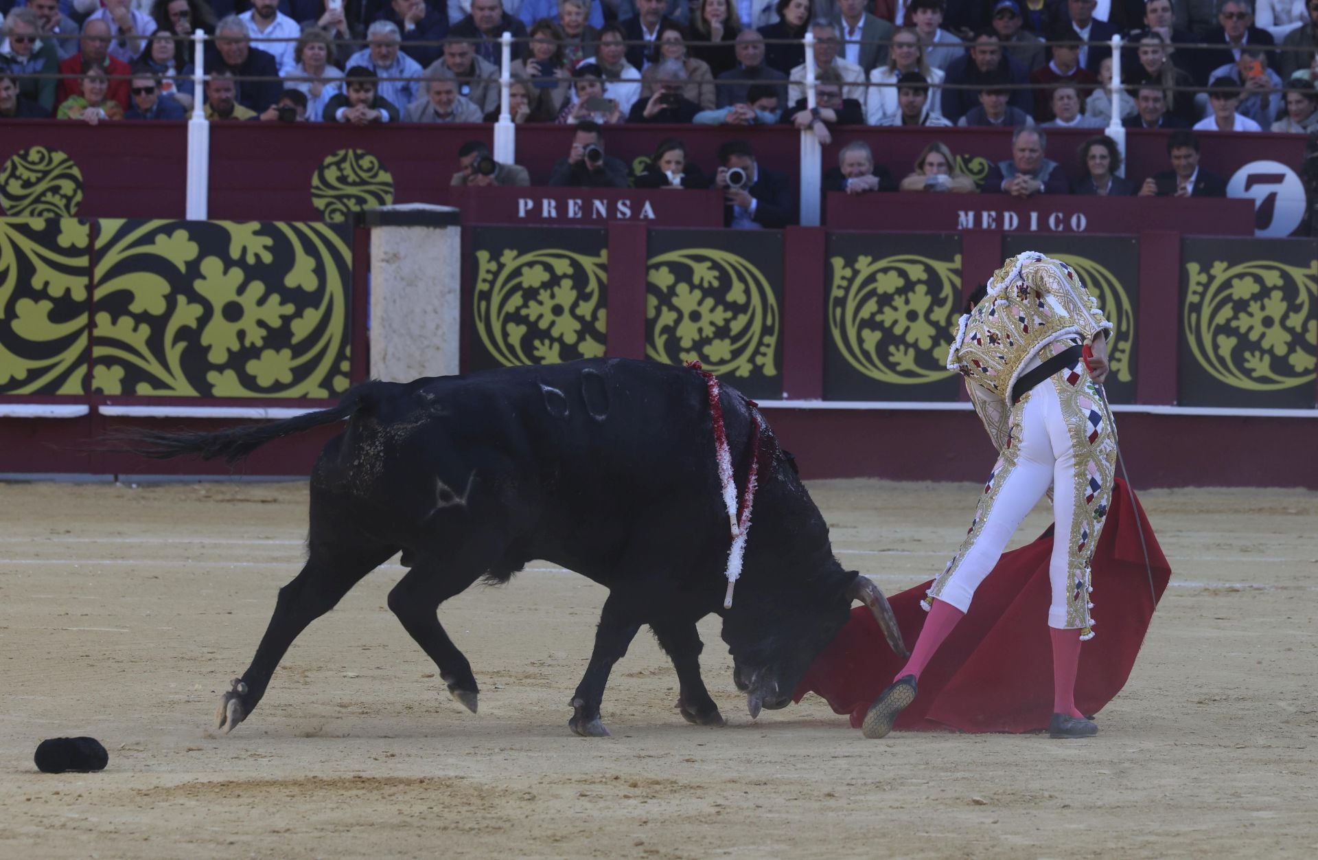 Las mejores fotos de la Corrida Picassiana 2025 en Málaga
