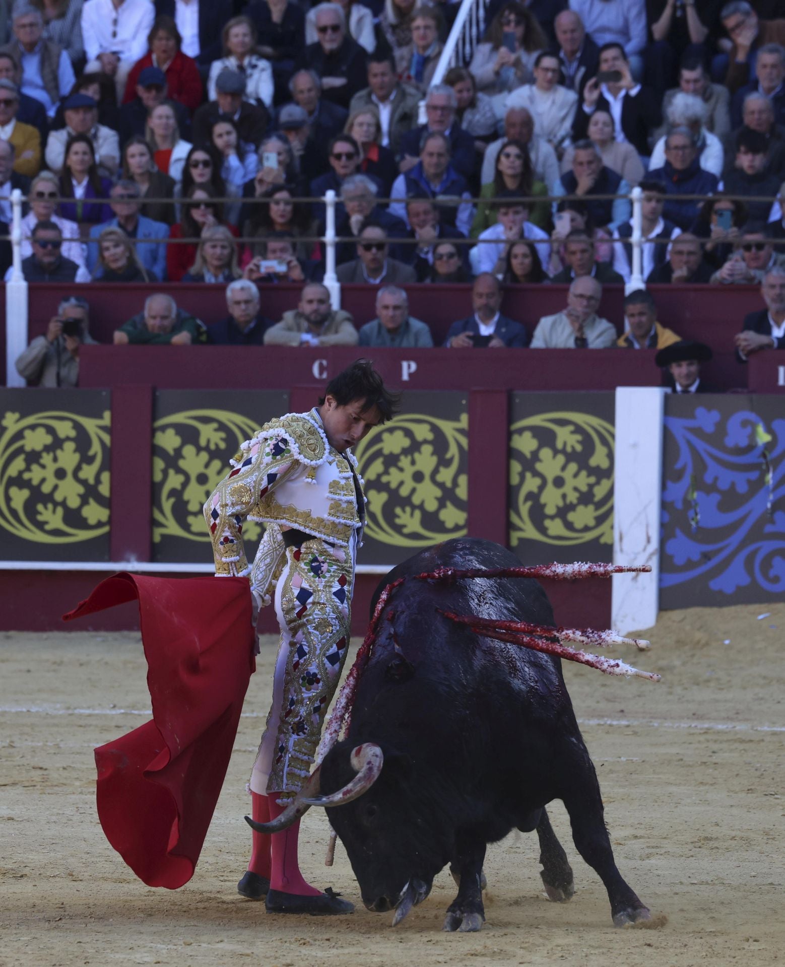 Las mejores fotos de la Corrida Picassiana 2025 en Málaga