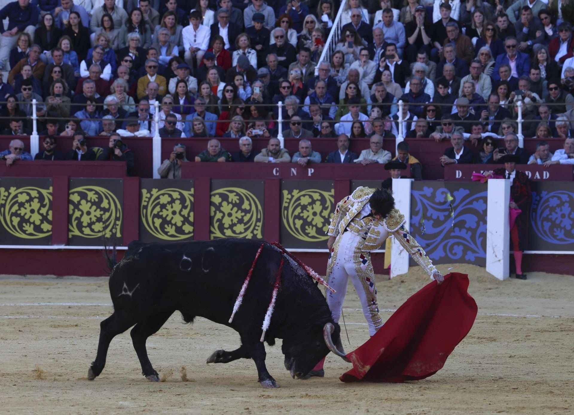 Las mejores fotos de la Corrida Picassiana 2025 en Málaga