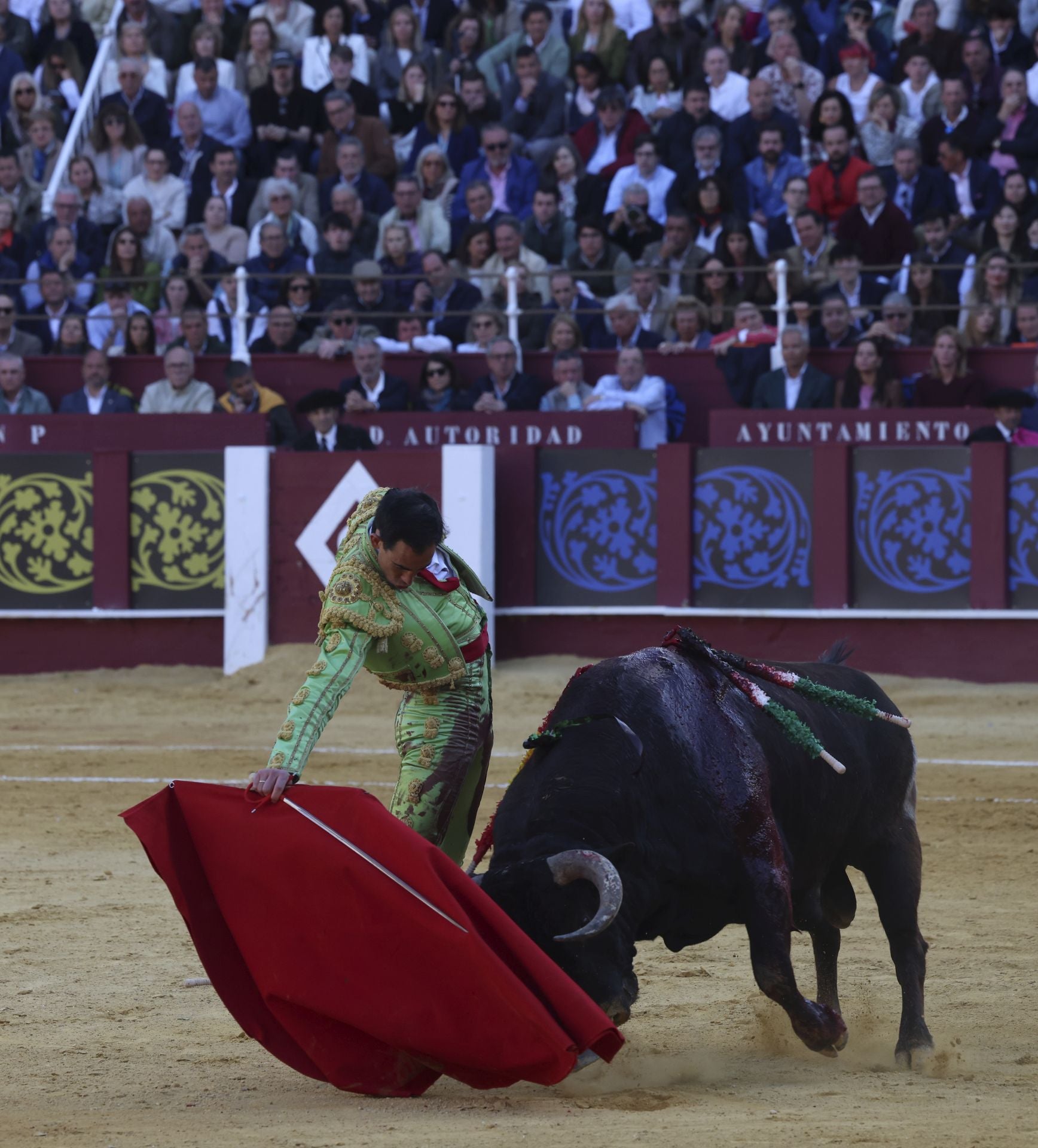 Las mejores fotos de la Corrida Picassiana 2025 en Málaga