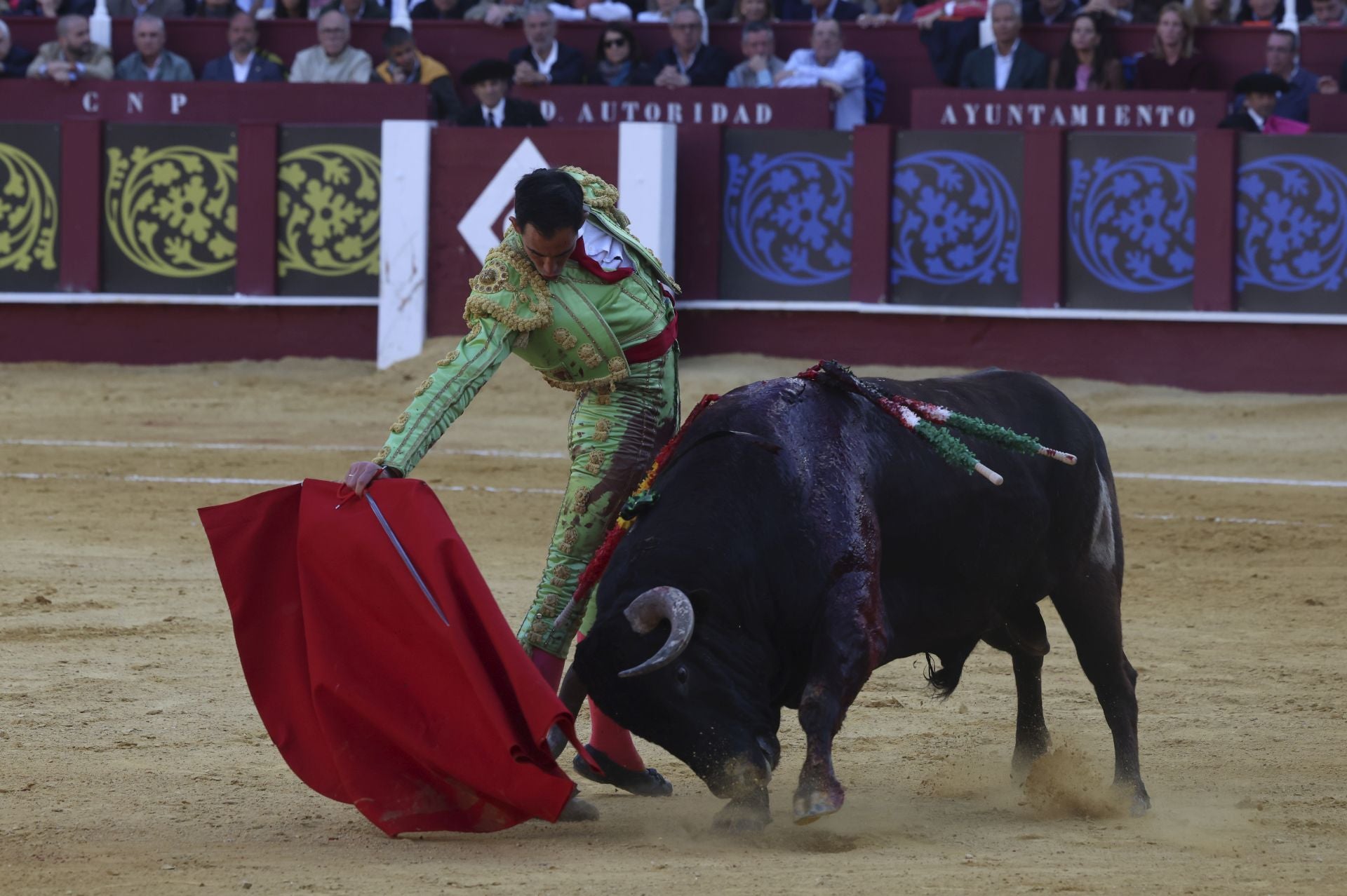 Las mejores fotos de la Corrida Picassiana 2025 en Málaga
