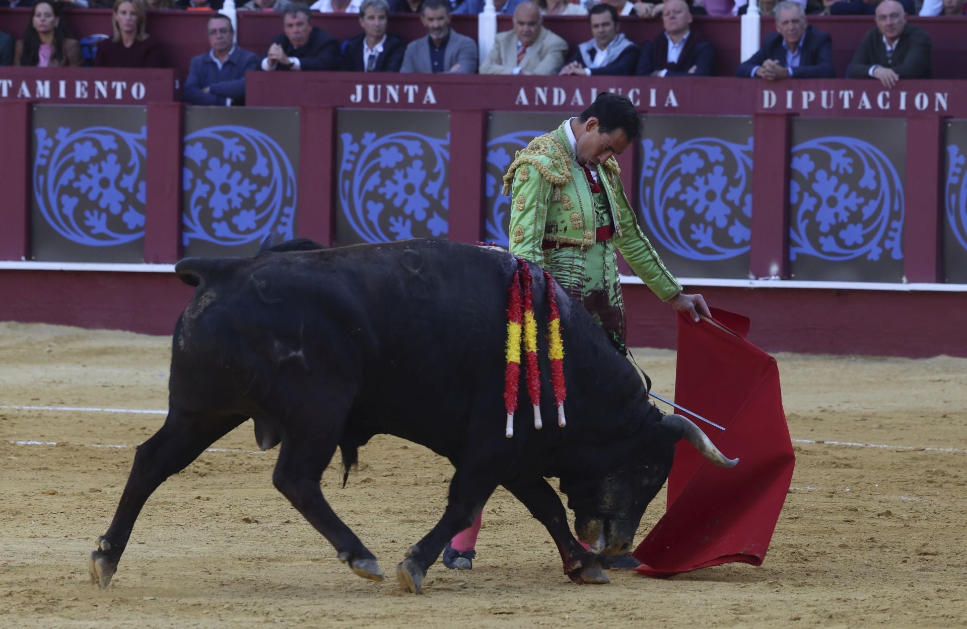 Las mejores fotos de la Corrida Picassiana 2025 en Málaga