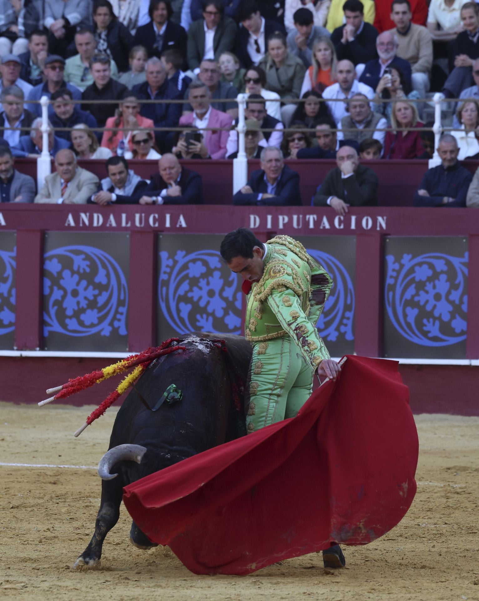 Las mejores fotos de la Corrida Picassiana 2025 en Málaga