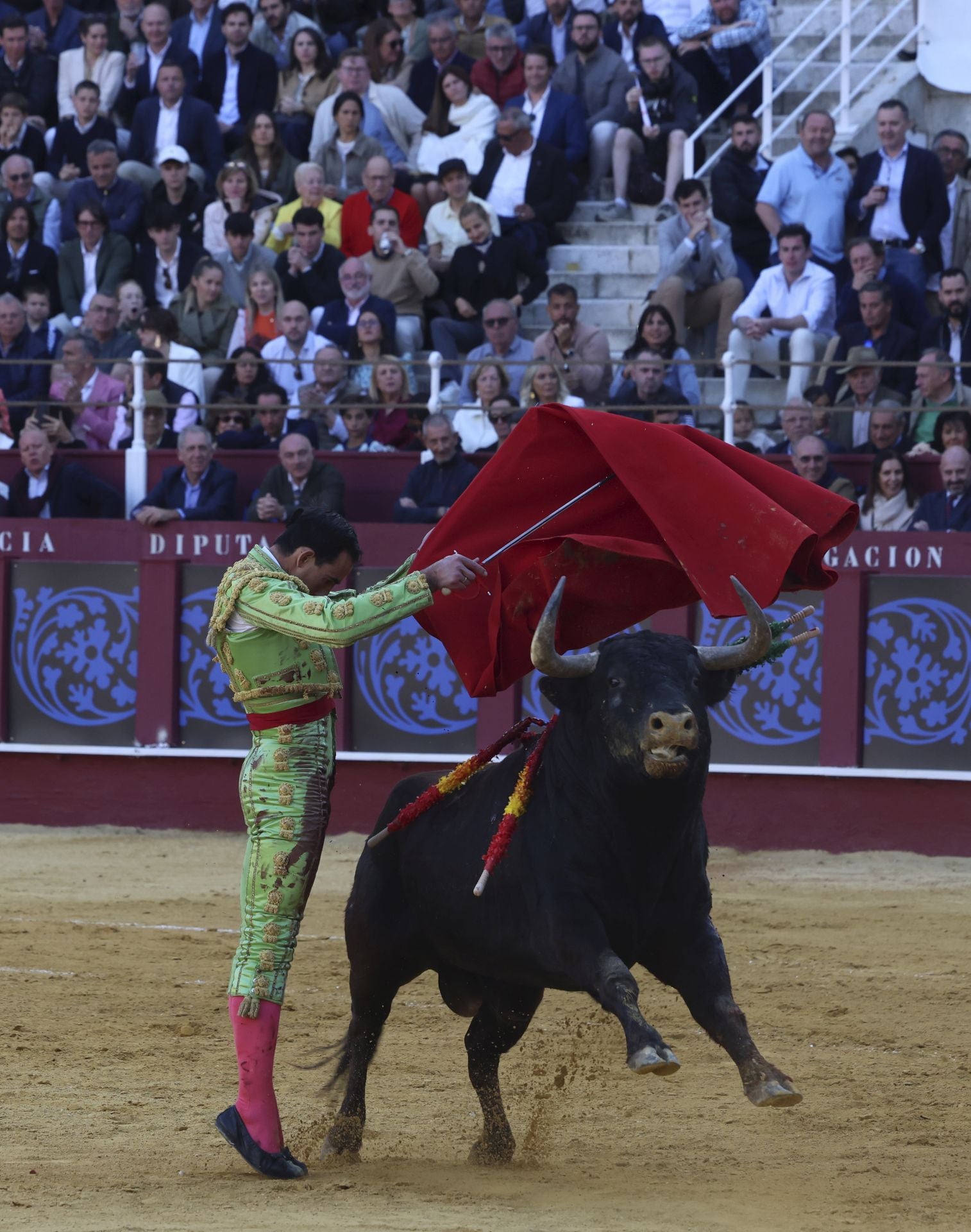 Las mejores fotos de la Corrida Picassiana 2025 en Málaga