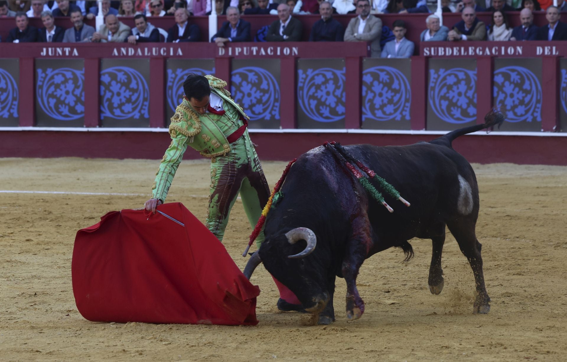 Las mejores fotos de la Corrida Picassiana 2025 en Málaga
