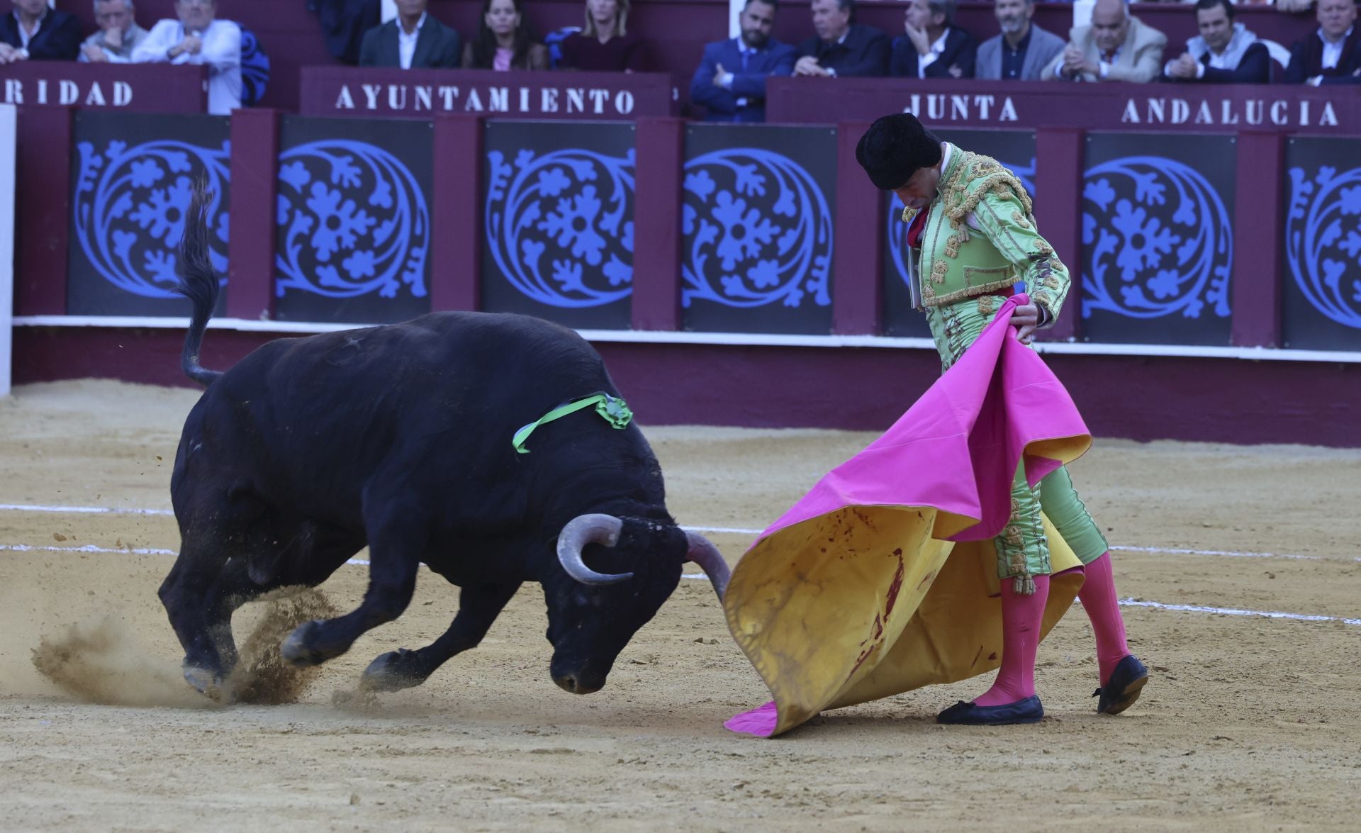 Las mejores fotos de la Corrida Picassiana 2025 en Málaga