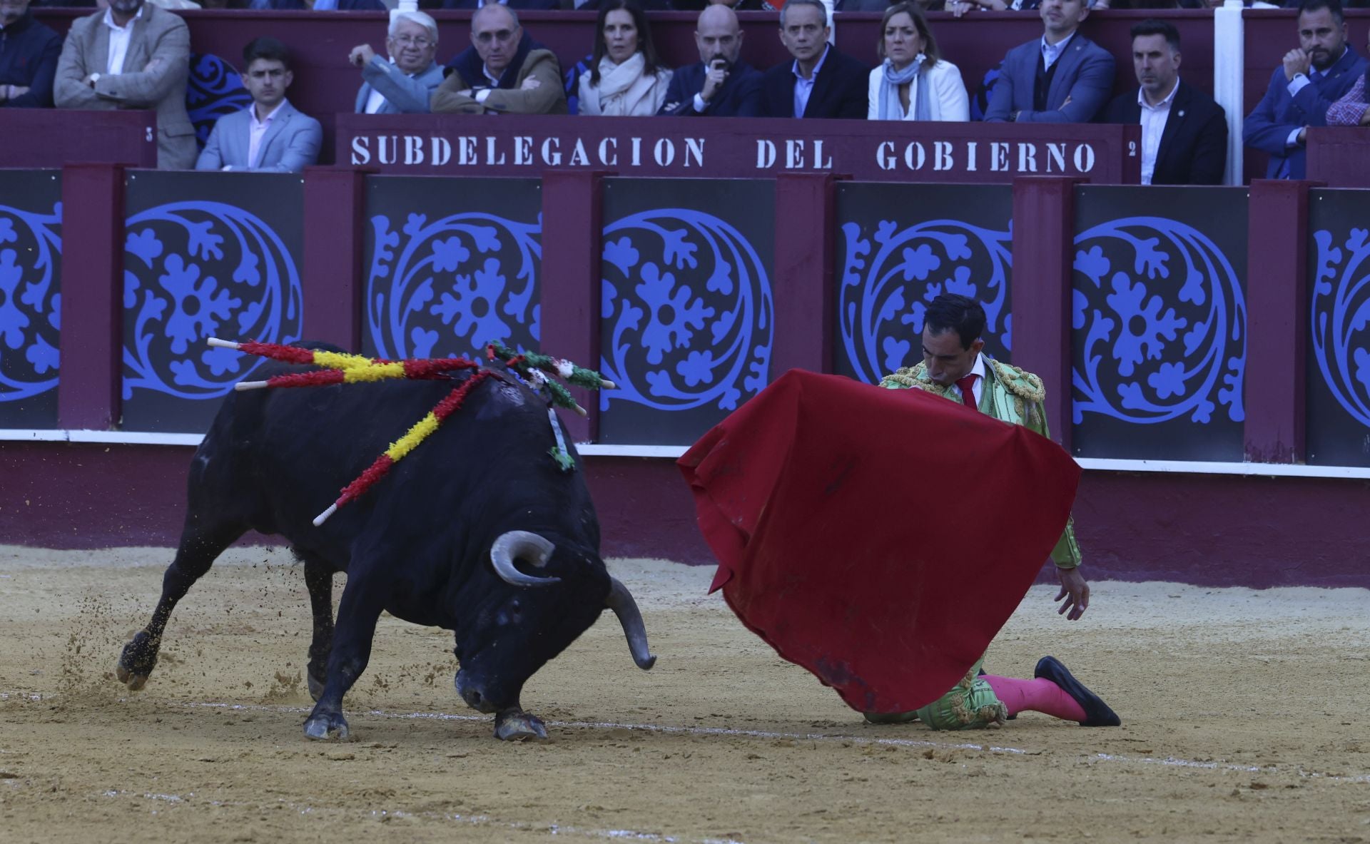 Las mejores fotos de la Corrida Picassiana 2025 en Málaga