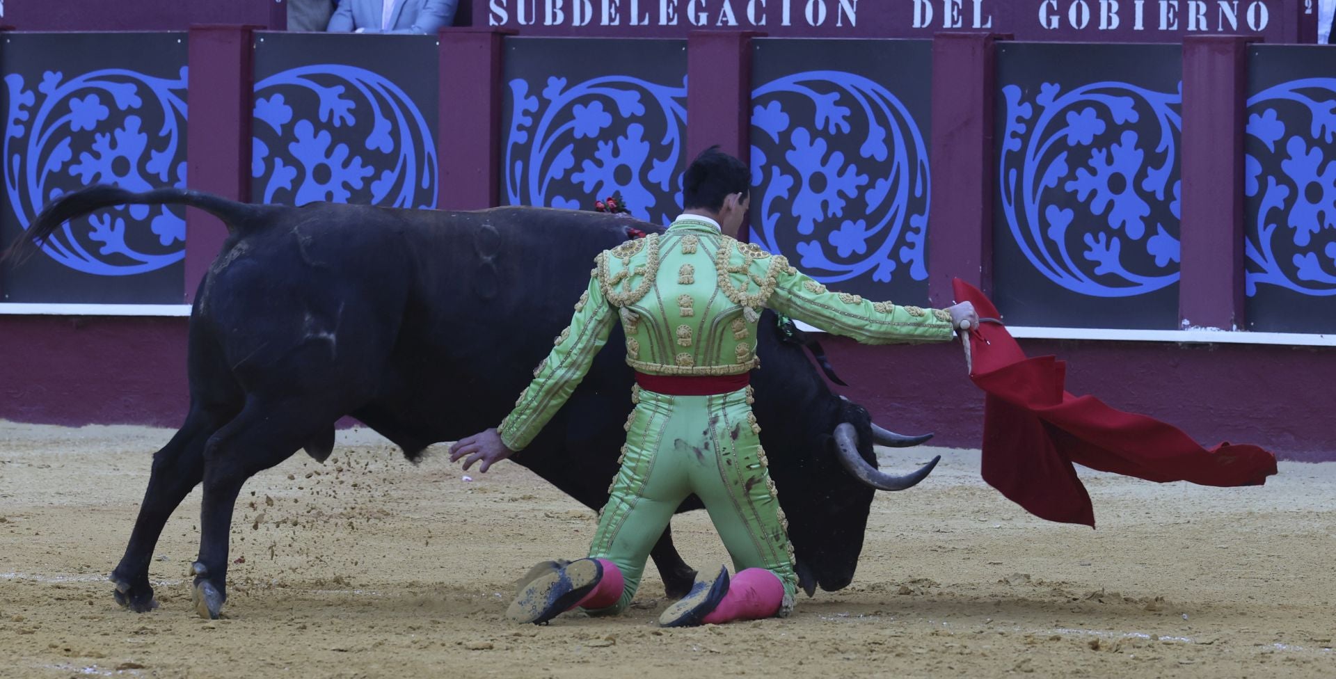 Las mejores fotos de la Corrida Picassiana 2025 en Málaga