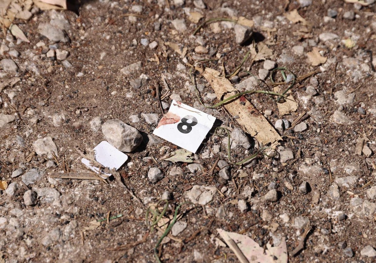 Crónica de una emboscada: el joven asesinado en Mijas recibió al menos 10 disparos