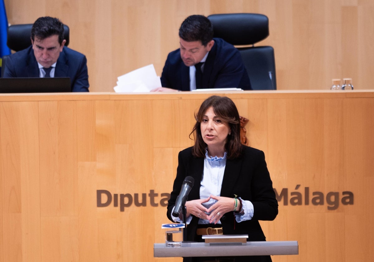 Fernández, esta mañana, en el pleno de la Diputación.
