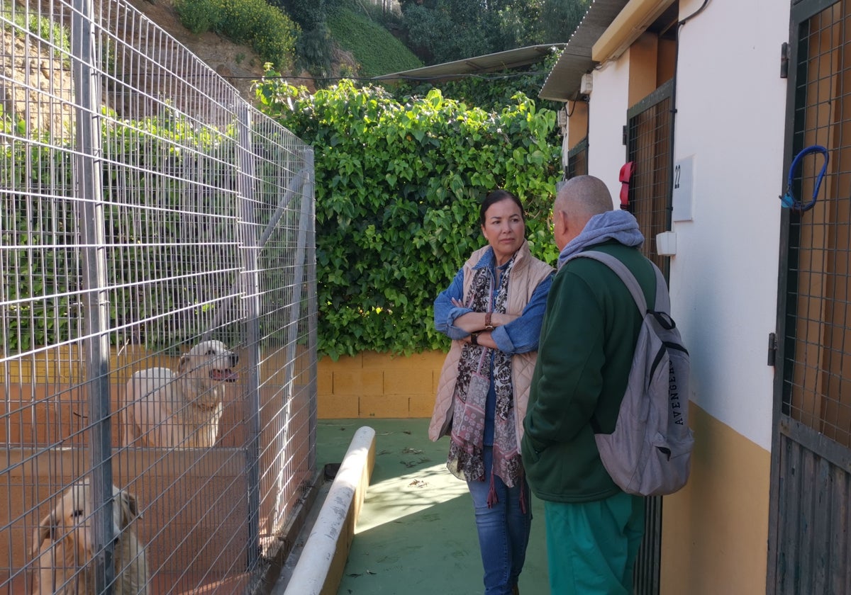 Rincón de la Victoria recoge durante el primer trimestre de este año 239 animales