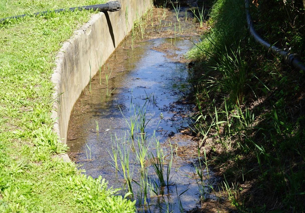 Imagen principal - El río Nacimiento de Coín vuelve a brotar con fuerza más de una década después