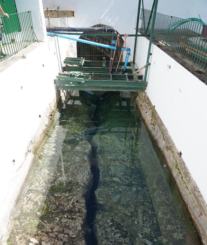 Imagen secundaria 2 - El río Nacimiento de Coín vuelve a brotar con fuerza más de una década después