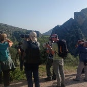 Se realizarón múltiples salidas de campo para la observación de aves en su hábitat natural.