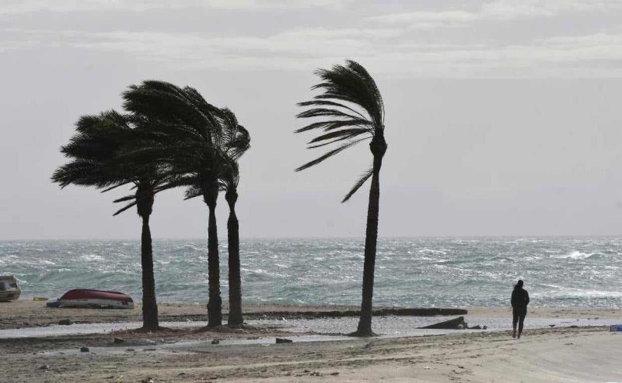 Levante fuerte en Málaga: arranca la semana en aviso amarillo por viento y olas