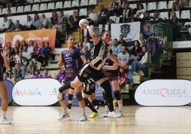 El Granollers, el Rocasa, o el Elche, posible rival del Costa del Sol Málaga en el inicio del 'play-off'