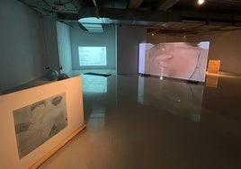 La exposición 'La próxima vez será', de Sara Marín, se encuentra en la Facultad de Bellas Artes de la UMA.
