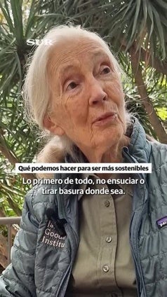 Jane Goodall y Málaga: esto opina la popular etóloga sobre la ciudad