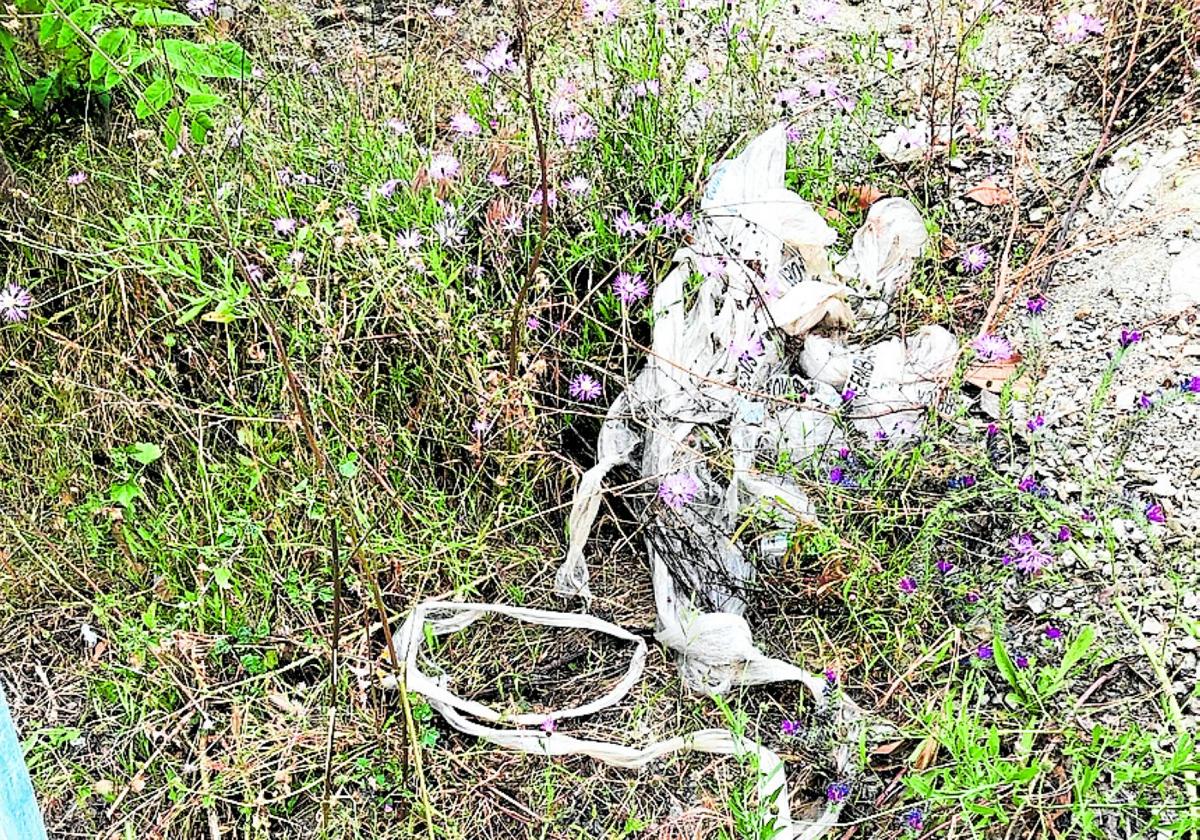 Pinosol, una zona cotizada con problemas en su barrio