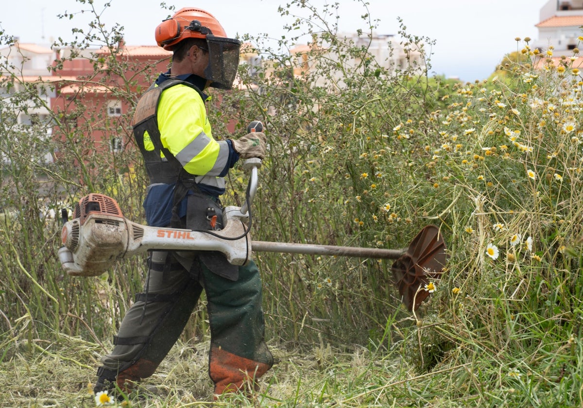 Desbroce en arroyos y parcelas de Benalmádena para prevenir incendios de cara al verano