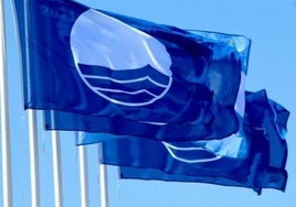Estas son las banderas azules que ondearán en las playas de Málaga este verano