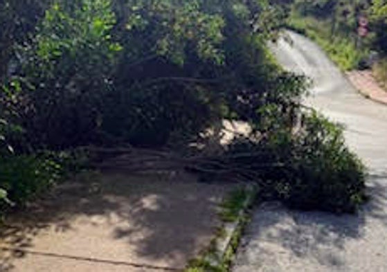 Vista de la situación de la calle.