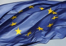 Organizaciones de la sociedad civil malagueña convocan una concentración por el día de Europa: «Nos necesita, la necesitamos»