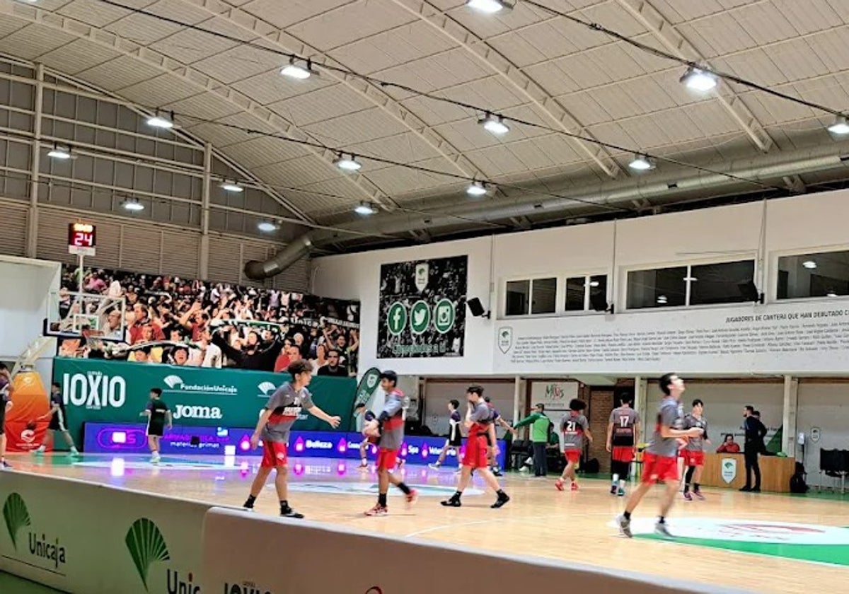 Pantalla gigante en Los Guindos para seguir el Unicaja-AEK de la Final Four