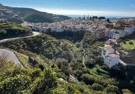 Imagen del cauce del río Algarrobo junto al casco urbano, con fincas de subtropicales.