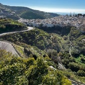 Imagen del cauce del río Algarrobo junto al casco urbano, con fincas de subtropicales.