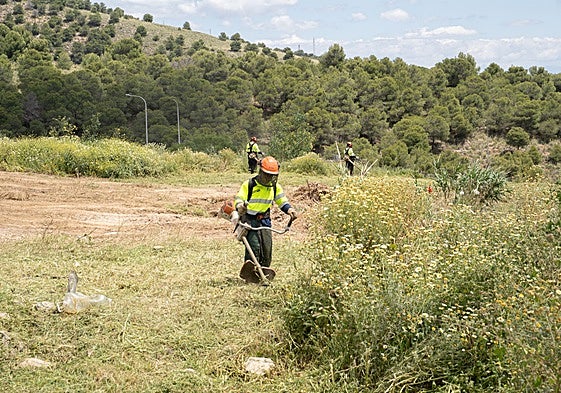 Tareas de desbroce en una imagen de archivo.