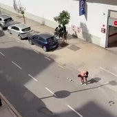 Un herido de bala en un tiroteo en el parking de un supermercado en Málaga