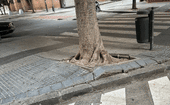 La Malagueta tiene demasiado flecos sin resolver