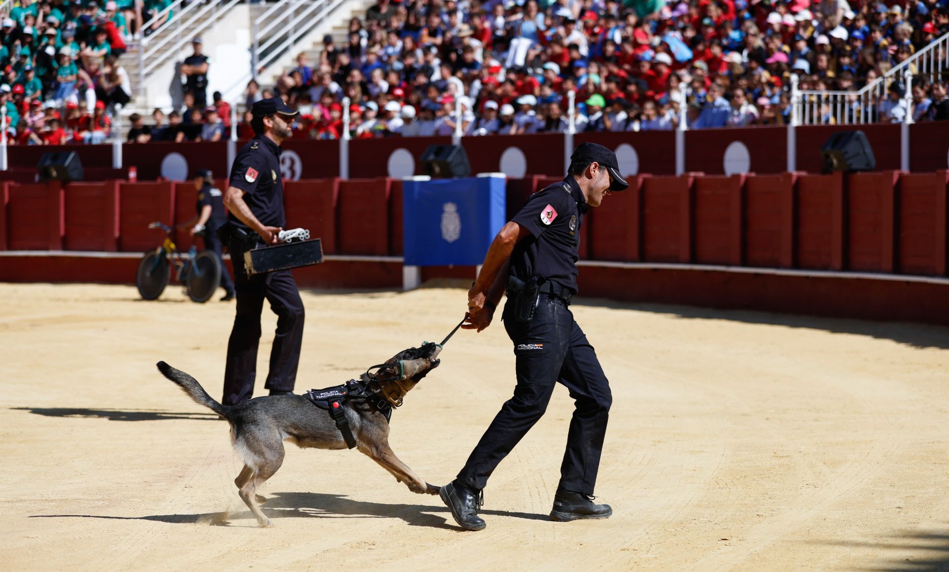 La Policía Nacional celebra una exhibición para dar a conocer su labor a escolares de Málaga