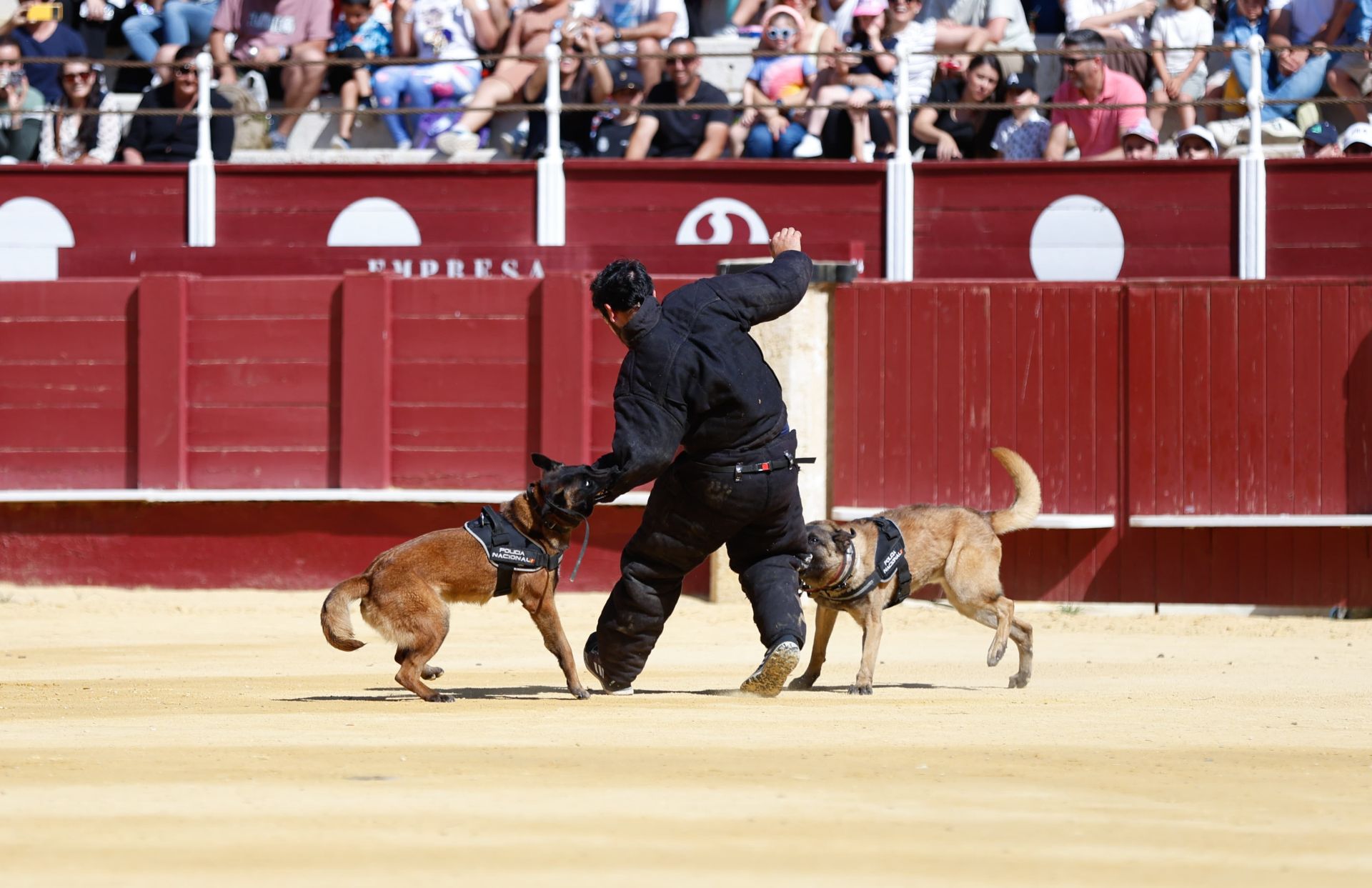La Policía Nacional celebra una exhibición para dar a conocer su labor a escolares de Málaga