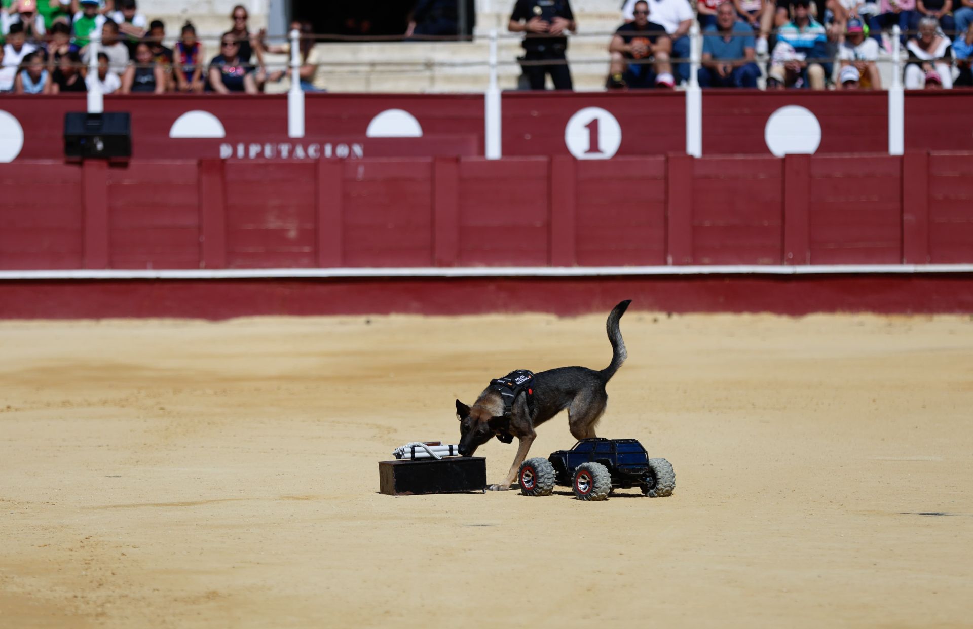 La Policía Nacional celebra una exhibición para dar a conocer su labor a escolares de Málaga