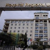 Dos evacuados al Hospital Regional tras atropellar un turismo a un jabalí en la autovía de Rincón de la Victoria